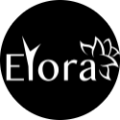 cropped logo small 1.png